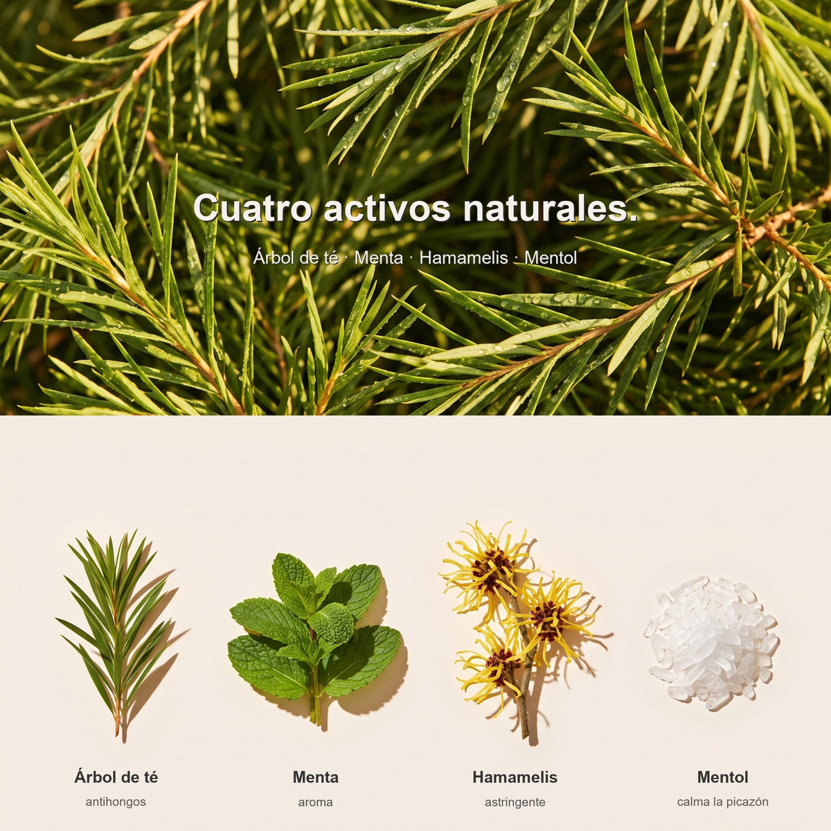 KLĒN Spray Antihongos para Pies con Árbol de Té